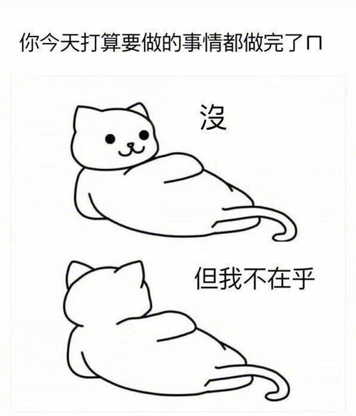 迷茫中的自我探寻：当生活抛出“不知要干嘛”的问题