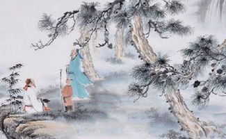 江小宴爆料背后：一位自媒体人的视角