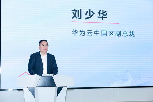 初创企业的酸甜苦辣：亲身经历才是最好的老师