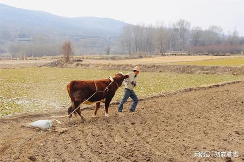 百室秋成在早春：诗意中的生命哲学