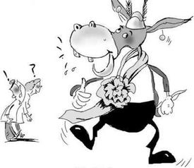 布里丹效应的启示：如何在人生中做出果断抉择