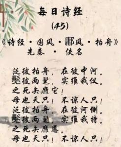 《风折·柏舟》：一场心灵的旅程