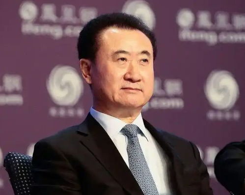 王健林7702万股权被冻结，背后的故事与影响