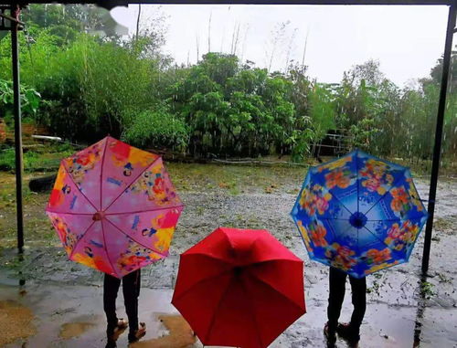 久旱逢甘霖——家乡下雨与人工降雨的思考