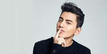 澄清与真相：王大陆兵役事件的全面解读