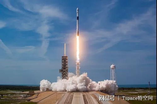 马斯克与特朗普联手：美国联邦政府裁员风暴的幕后故事