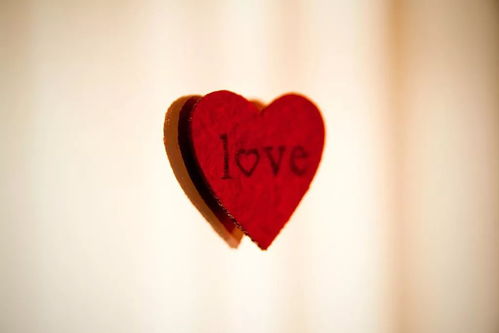 当我开始爱自己：一场与内心和解的旅程