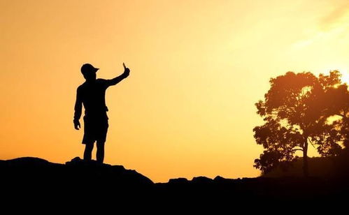 低谷期，如何调整自我：从迷茫到新生的蜕变