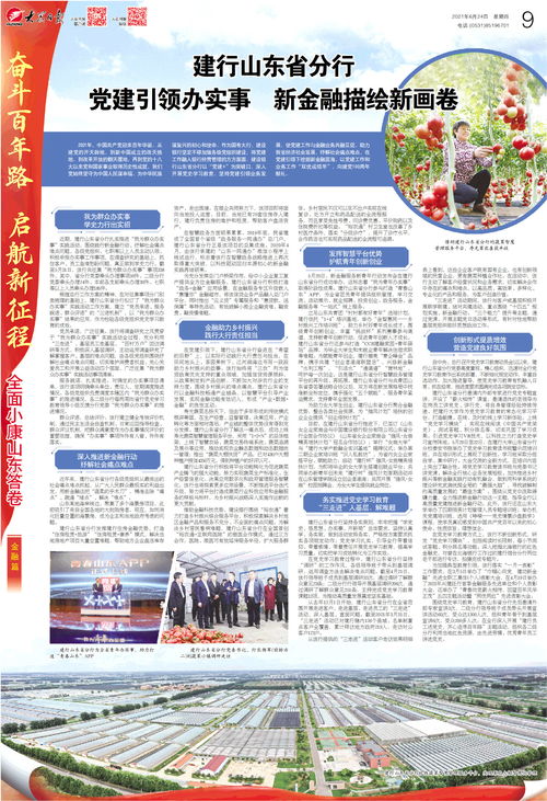 党建引领新经济：个人视角下的发展新篇章