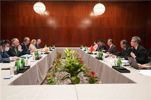 亲历慕尼黑安全会议：王毅与爱尔兰总理马丁的会晤