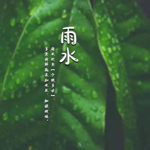 今日雨水：在抖音上感受节气之美