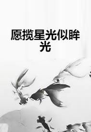 若星光不肯垂眸：那些未曾抵达的爱意