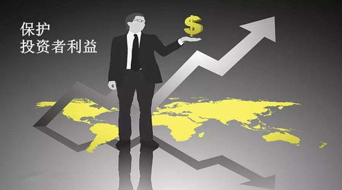 投资者与股民的智慧之路：从原则到实践