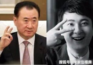 王健林再被冻结1200万股权：背后的故事与商业帝国的挑战