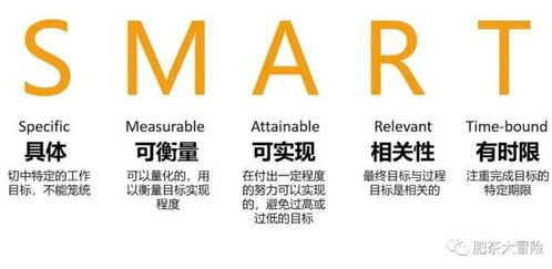 行动营复盘：从迷茫到成长，我的蜕变之旅