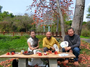 府城茶诗会：一场茶香与诗意交融的盛宴