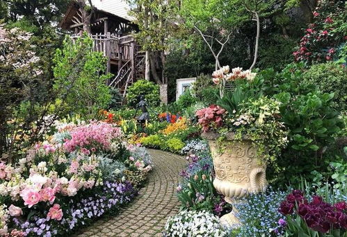 在春天走进花园：一场与自然的邂逅