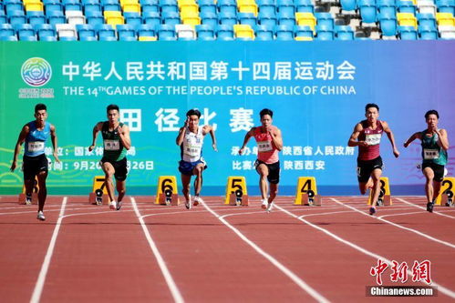 苏炳添全运年首秀夺冠，他用速度诠释坚持的力量