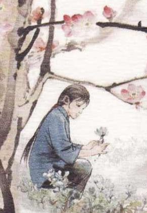 读到了《飞狐外传》中程灵素的结局，那一刻我泪流满面