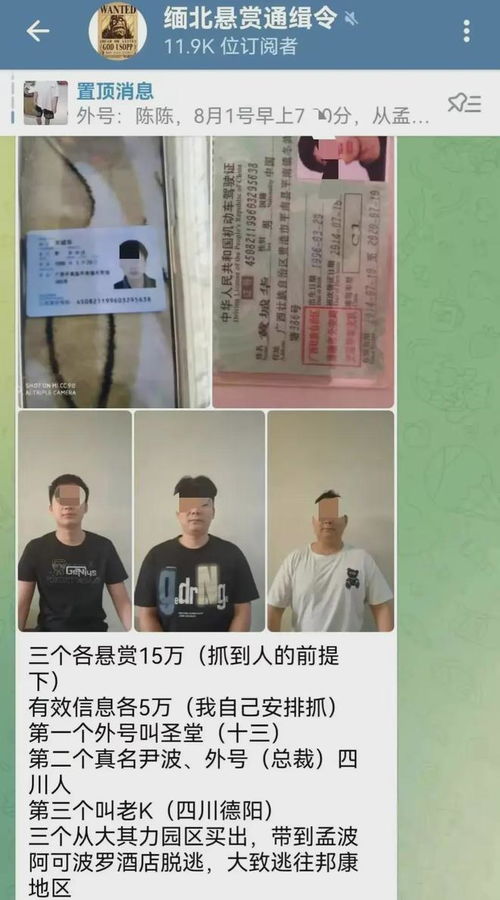 打击电诈：缅方拘留273名非法入境者，背后的故事令人深思