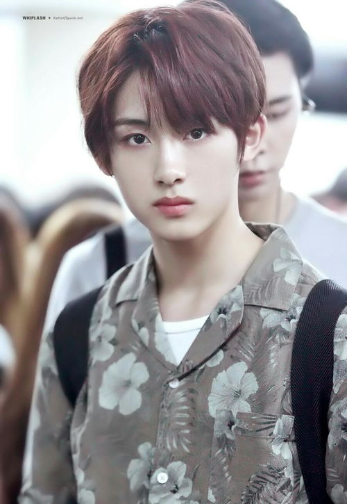 董思成北京环球影城被偶遇：打破次元壁的惊喜互动