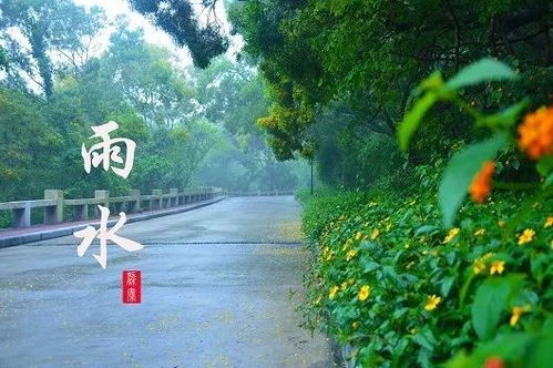 春天的第二个节气——雨水，我与春天的温柔邂逅