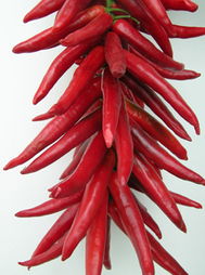 警惕“辣椒陷阱”：求职路上的隐秘骗局