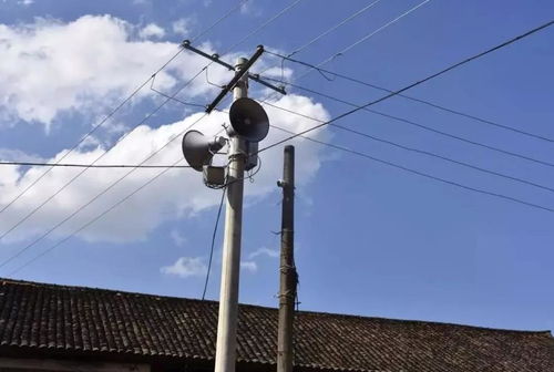 公园外的广告喇叭变了，生活也悄然发生改变