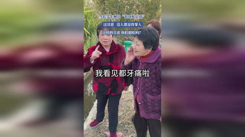 农学生种出“银环蛇”甘蔗，甜蜜事业背后的科技密码