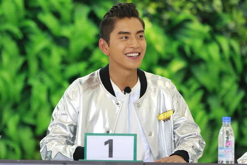 王大陆走红背后的质疑：逃兵役风波真相大揭秘