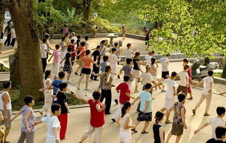 黄昏的广场舞图谱：一场属于平凡人的狂欢