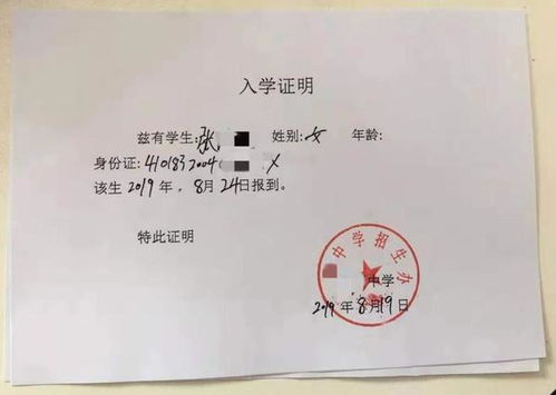 王大陆医疗证明事件背后：一场关于真相与诚信的探讨