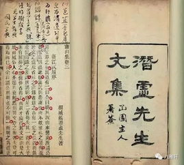 广告泛滥的困扰：从停车缴费到扫码点餐，我们的生活被广告绑架了吗？