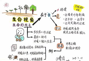 关注教师自身的生命成长：从璩艳霞到每一个教育者的故事
