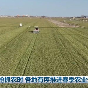 春耕时节，我见证希望田野上的生机与活力