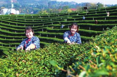 2025年，一个普通人在简书上的不平凡一天