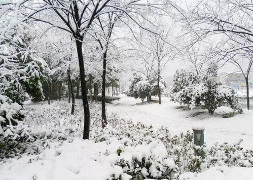 落雪时节，与自己对话的温暖时光