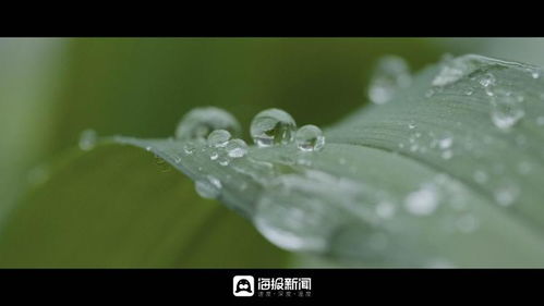 雨水至 万物生：在自然中感受生命的律动