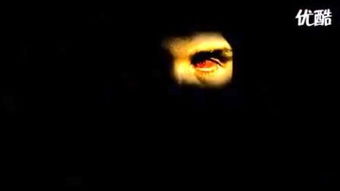 红眼航班的奇妙际遇：小木木的深夜飞行故事