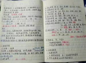 读书笔记《黄昏里的男孩》：在文字中找到自我