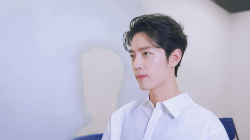 肖战接棒《射雕》郭靖，粉丝热议与陈奕天的“心碎”之声