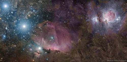 李娟《猎户星座》：在小地方发现大世界