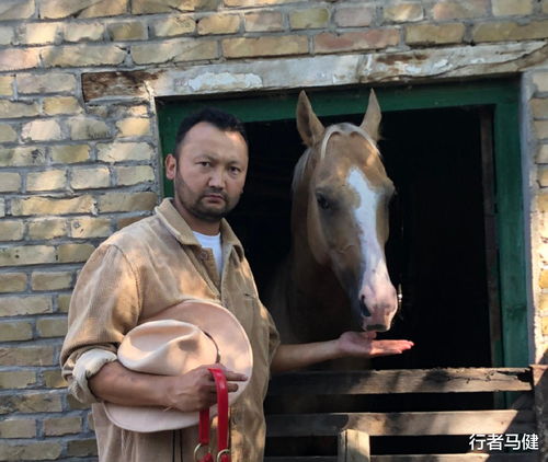 新疆牧民将爱马送给去世白马的主人，这份情谊跨越千里