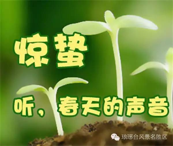 春雷响，万物长！惊蛰养生做好这四件事，让身体和春天一起苏醒