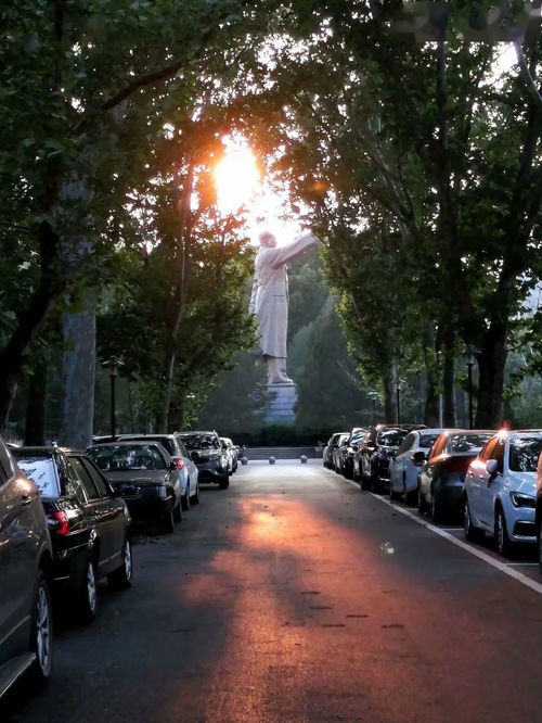 那条熟悉的路：灵魂深处的归途