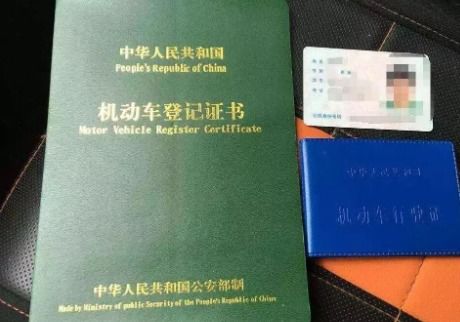 罗中旭晒无婚姻登记证明辟谣出轨：真相与舆论的碰撞