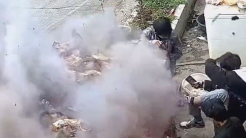 亲历者讲述：一场烧柴烤火引发的惊魂爆炸