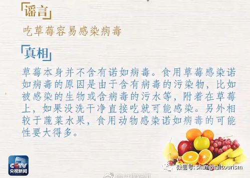 关于草莓的那些谣言，你中招了吗？