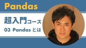 Pandas基础操作：从零开始的高效数据处理之旅