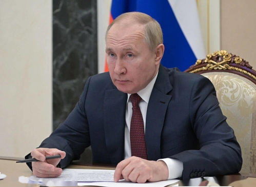 俄美关系新篇章：普京与特朗普会晤或将开启和平新希望